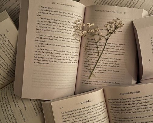 Books you will find on my shelf cover photo collage