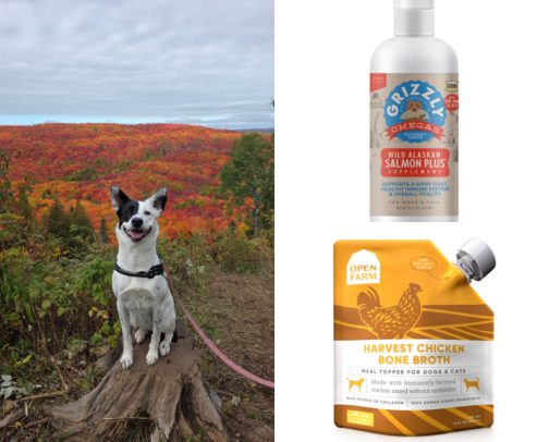 Happy Healthy Dogs - Food cover photo collage