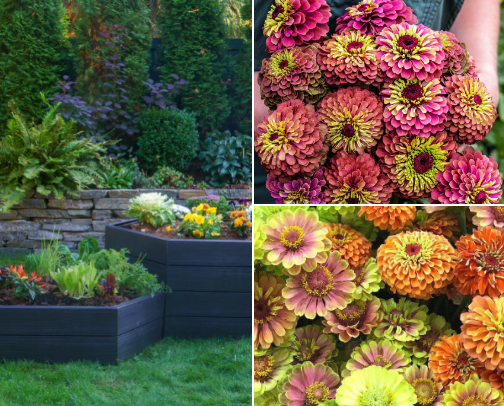 Gardening cover photo collage