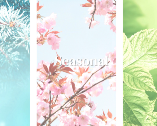 Seasonal Favorites & Finds cover photo collage