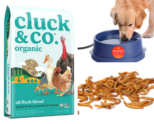 Flock must haves cover photo collage