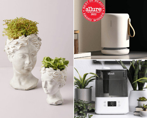 Plant lady! cover photo collage