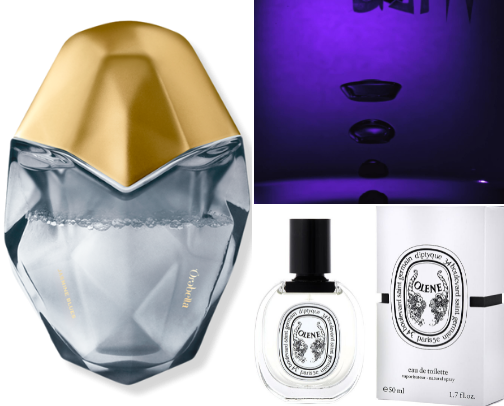 So, you wanna smell like jasmine? cover photo collage