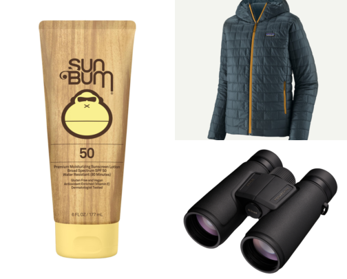 Gear I Wish I Had Before My Salinas Flamingo Walk in Arequipa cover photo collage