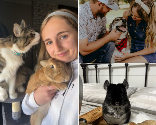 Yes, I love animals🐾 cover photo collage