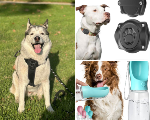 Furr Friends 🐾 cover photo collage