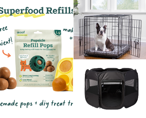 Puppy MUST haves ✨🤎 cover photo collage