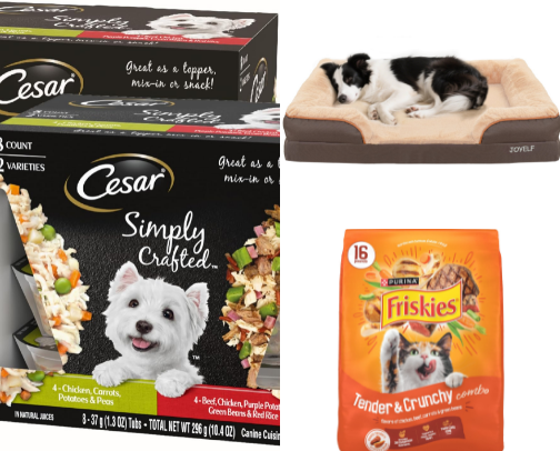 Everything your pets need cover photo collage