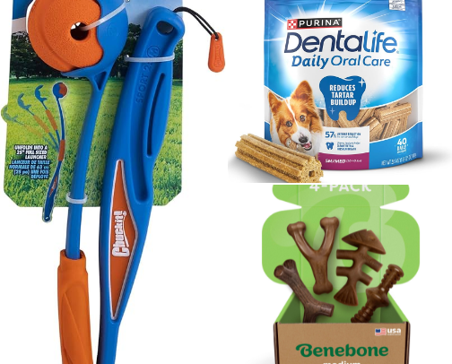 Pup Parent Must-Haves cover photo collage