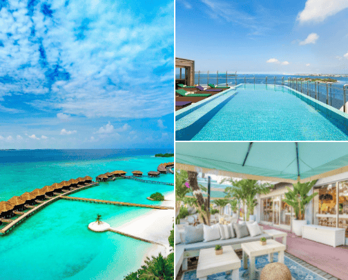 Tropical Paradise Escapes – Best Exotic cover photo collage
