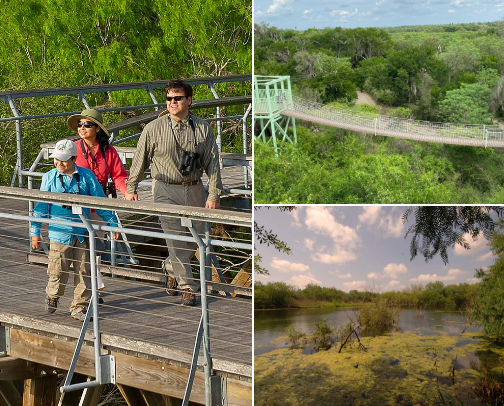 🌴 Best Things to Do in the Rio Grande Valley (RGV Attractions Guide) cover photo collage