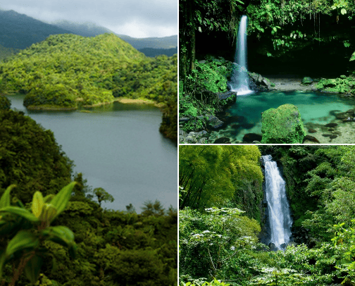 Places to visit in Dominica cover photo collage