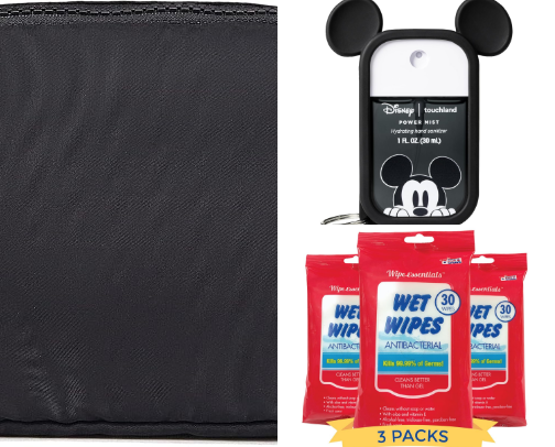 Theme Park Essentials cover photo collage