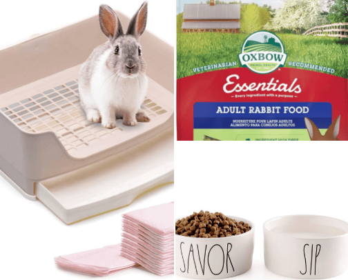 For the Buns cover photo collage