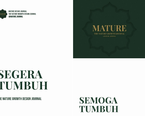 THE JOURNAL - MATURE JOURNAL cover photo collage