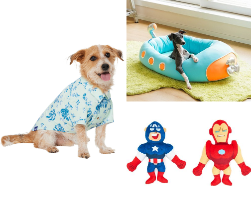 Dog Days of Summer: Chewy Essentials for Dogs and Cats cover photo collage