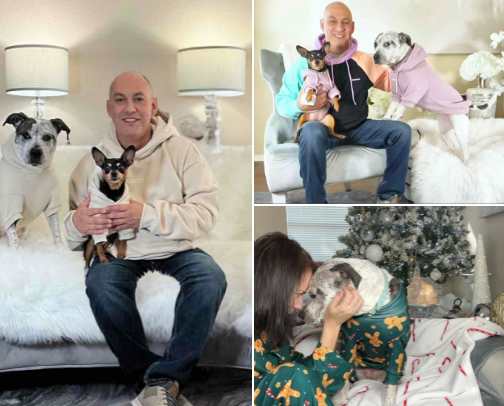 Human & Dog Matching.    👨‍🦲🐶👕 Hoodies/Clothes  to match your pet! cover photo collage