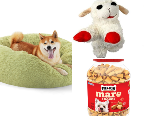 Everything for Dogs cover photo collage