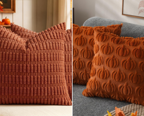 Fall Decor for the Home (Amazon Finds) cover photo collage
