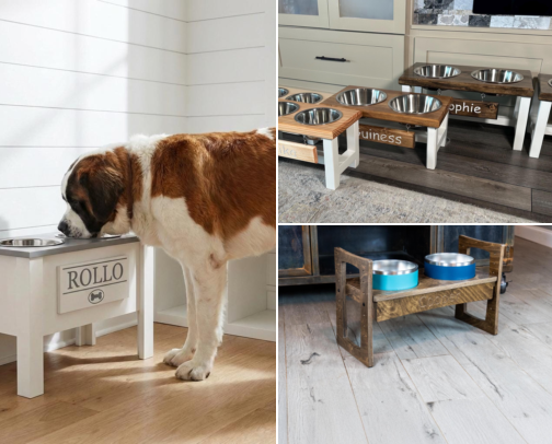 Feeding Solutions That Finally Got My Senior Dog Eating Comfortably Again cover photo collage