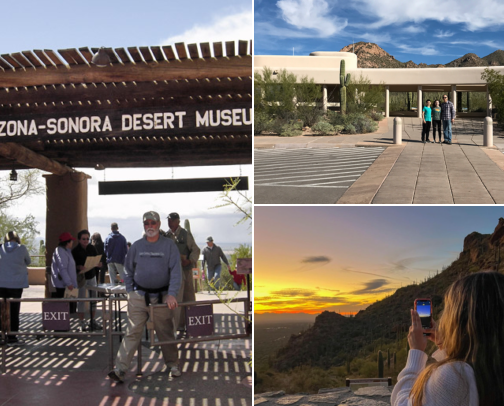 🌵 Tucson's Downtown, Fourth Avenue, Barrio Viejo & the Sonoran Desert: Sonoran Dogs, Saguaros & Mission Sunsets cover photo collage