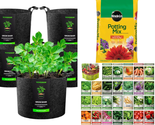 🌱 Backyard Gardening Essentials for the Gardener in You 🌱 cover photo collage