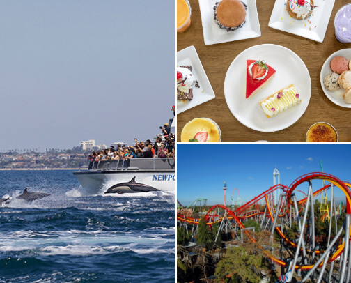 Things You Might Not Know About To Do In Anaheim California cover photo collage