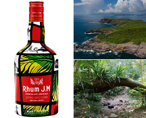 Road trip in Martinique - 10 incredible days cover photo collage