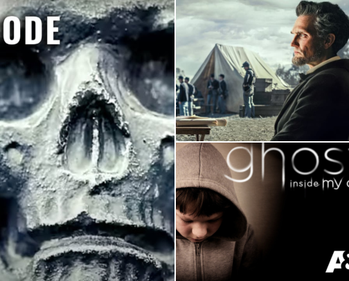 Documentaries I like to watch. cover photo collage