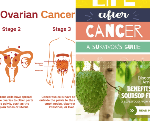 Inspirational Books for Cancer Survivors cover photo collage