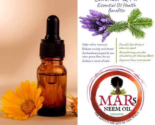 Healing Oils You Need in Your Chaos Cabinet cover photo collage