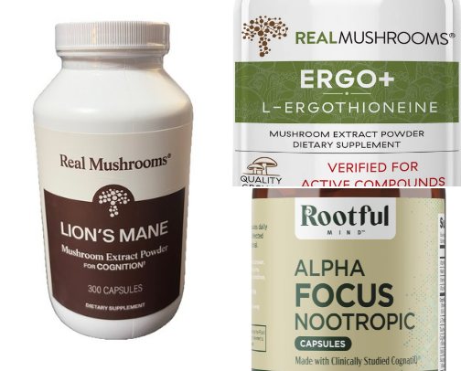 Mushroom Magic for Your Brain, Energy & Sanity cover photo collage
