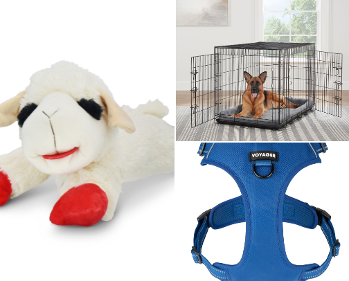 Doggy Must Haves 🐶🐾🦴 cover photo collage