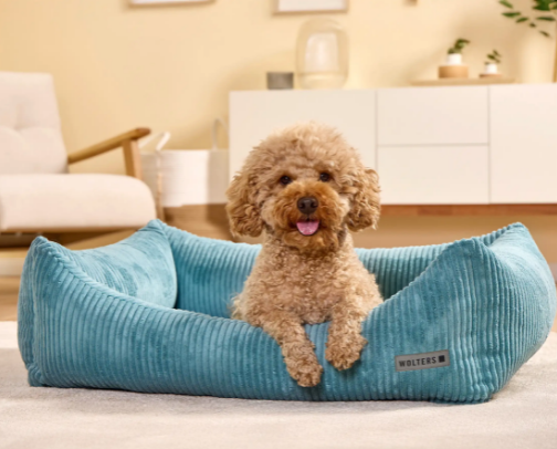 New Puppy Must Haves cover photo collage