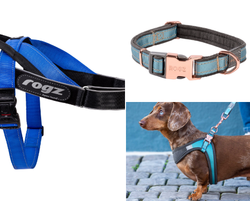 Dash's Rogz Essentials cover photo collage