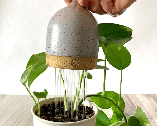 Plants and garden cover photo collage