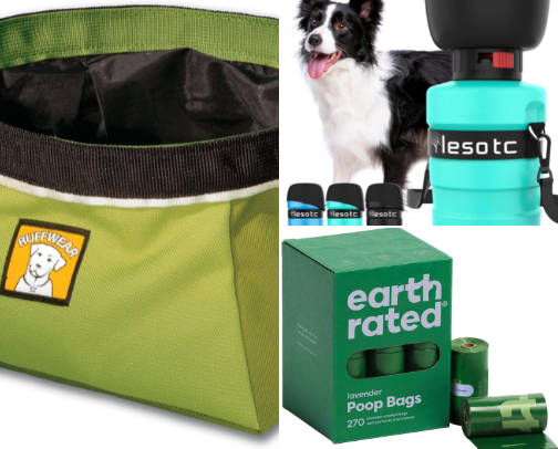 The Exact Gear in My Bag Every Single Time I Take Arie to the Dog Park cover photo collage