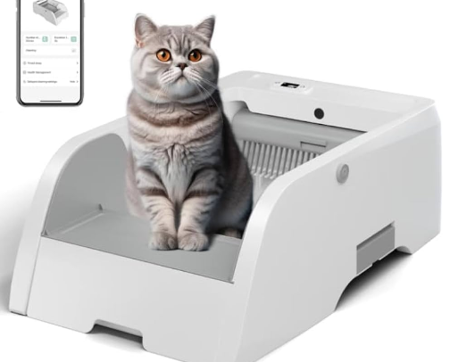 The best items for every cat cover photo collage