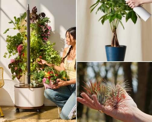 Pet-Friendly Household Items and Pet-Safe Gadgets cover photo collage