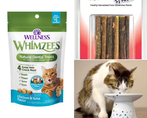 Cat Corner 🐈🐈‍⬛ cover photo collage