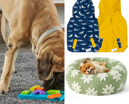 Follow Your Pup's Dream and Shop at Chewy cover photo collage