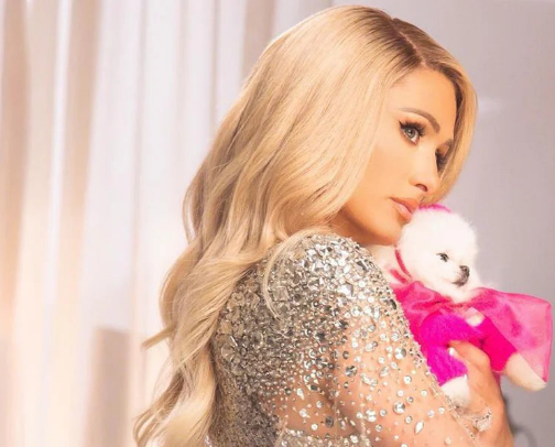 Paris Hilton pet line ❤️ cover photo collage