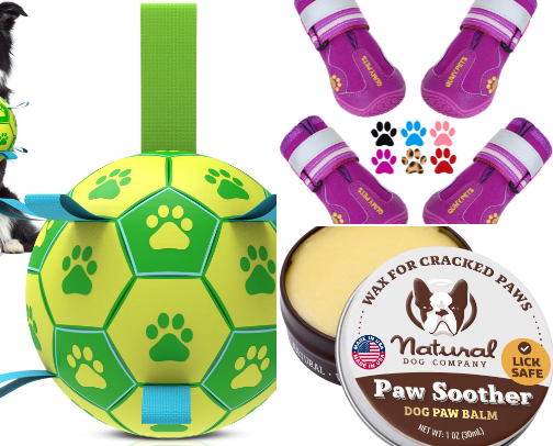 Dog Must Haves cover photo collage