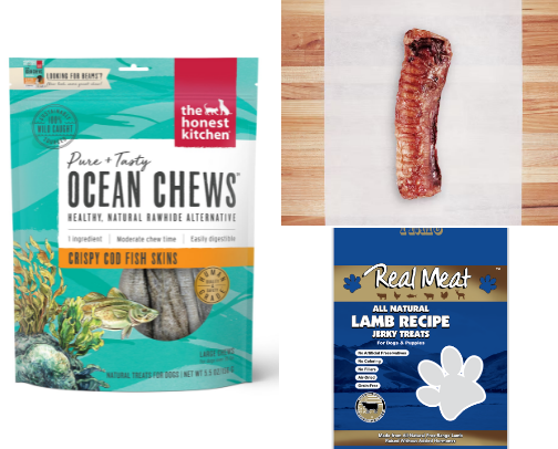 Milo’s Must-Haves: Dog Essentials We Actually Use cover photo collage