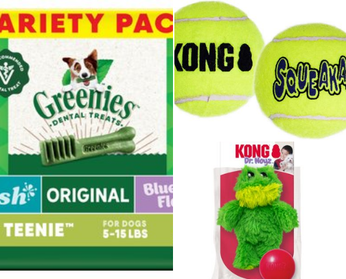 Pet Necessities for a Yorkie cover photo collage