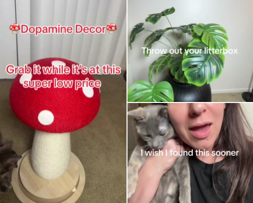Cat Parent Must Haves (your cat will thank you) cover photo collage