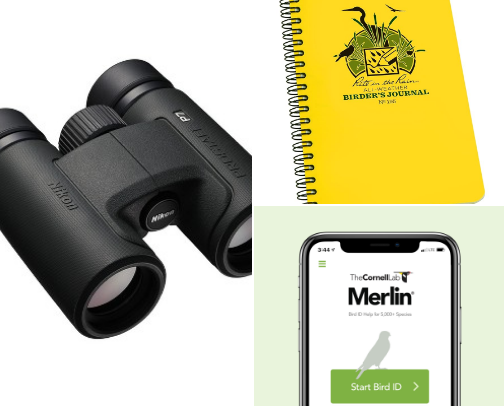 Birdwatching Basics - everything you need to get started with a fun new hobby. cover photo collage