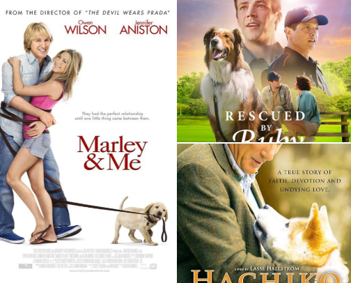 Best movies with animals in them cover photo collage