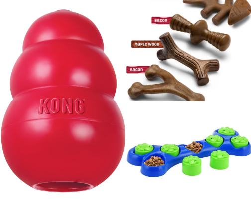 My Dachshund Must Haves! cover photo collage