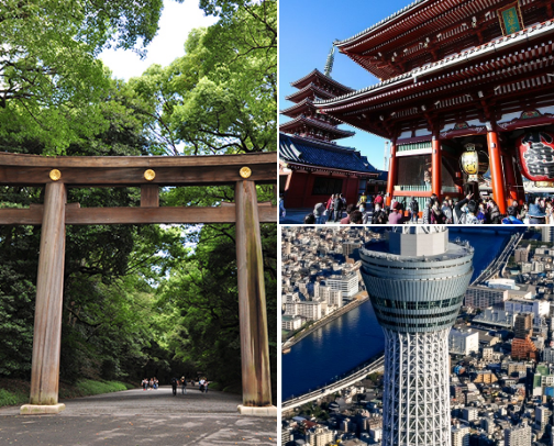Must-Do Tokyo Itinerary cover photo collage